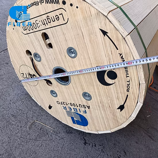 High Quality ADSS 12 Core Dielectric Self